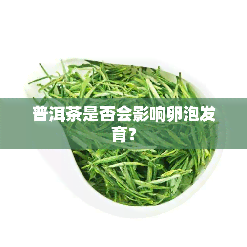 普洱茶是否会影响卵泡发育？