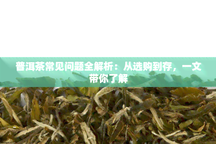 普洱茶常见问题全解析：从选购到存，一文带你了解