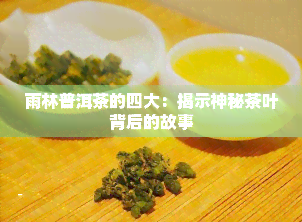 雨林普洱茶的四大：揭示神秘茶叶背后的故事