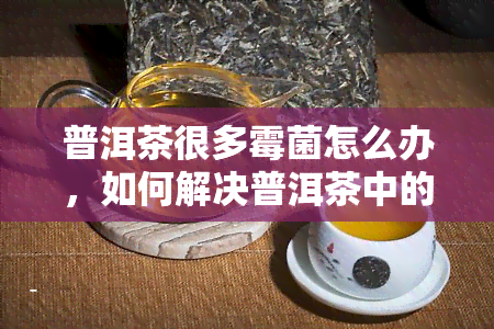 普洱茶很多霉菌怎么办，如何解决普洱茶中的霉菌问题？