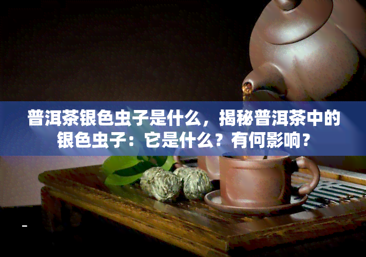 普洱茶银色虫子是什么，揭秘普洱茶中的银色虫子：它是什么？有何影响？