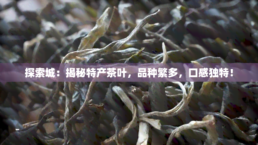 探索城：揭秘特产茶叶，品种繁多，口感独特！