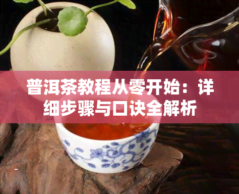 普洱茶教程从零开始：详细步骤与口诀全解析