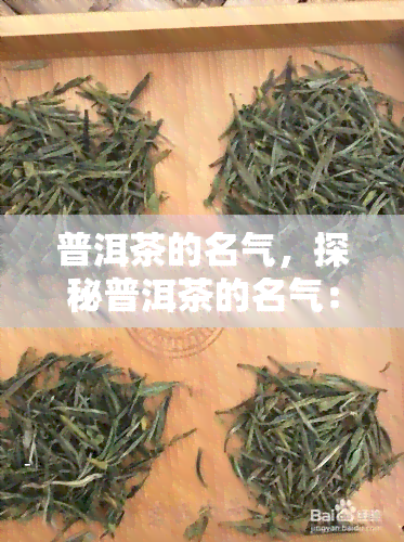 普洱茶的名气，探秘普洱茶的名气：一种独特而受欢迎的中国茶叶