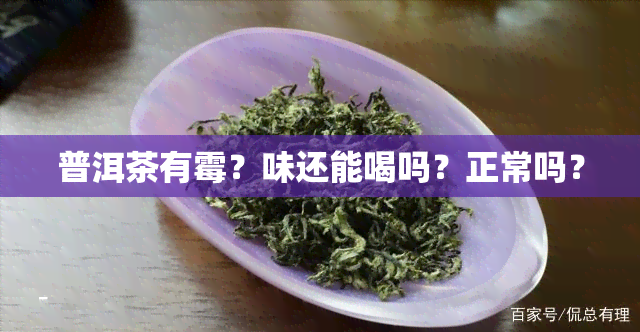 普洱茶有霉？味还能喝吗？正常吗？