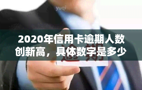 2020年信用卡逾期人数创新高，具体数字是多少？