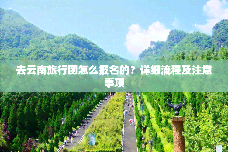 去云南旅行团怎么报名的？详细流程及注意事项