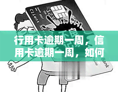 行用卡逾期一周，信用卡逾期一周，如何避免产生更多罚息和影响信用记录？