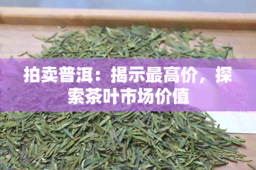 拍卖普洱：揭示更高价，探索茶叶市场价值