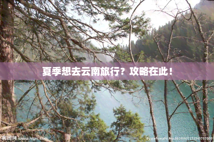 夏季想去云南旅行？攻略在此！