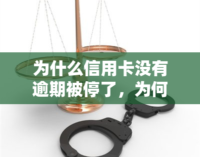 为什么信用卡没有逾期被停了，为何未逾期的信用卡却被停用了？原因解析