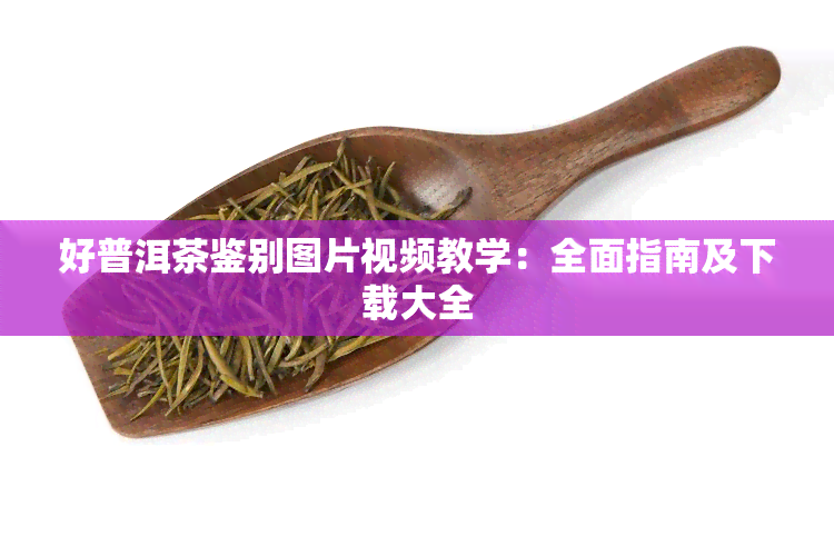 好普洱茶鉴别图片视频教学：全面指南及下载大全