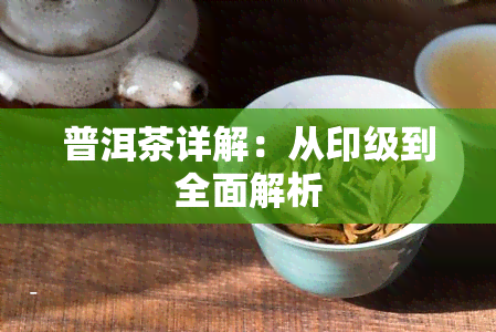 普洱茶详解：从印级到全面解析