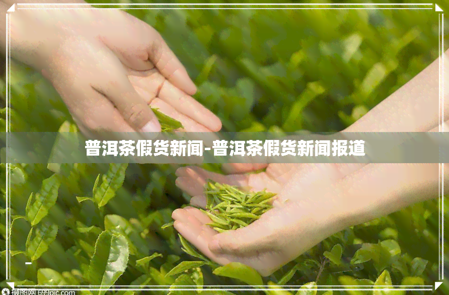 普洱茶假货新闻-普洱茶假货新闻报道