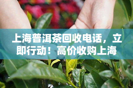 上海普洱茶回收电话，立即行动！高价收购上海普洱茶，欢迎来电咨询回收电话