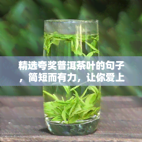 精选夸奖普洱茶叶的句子，简短而有力，让你爱上普洱的味道！