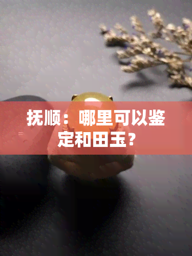 抚顺：哪里可以鉴定和田玉？