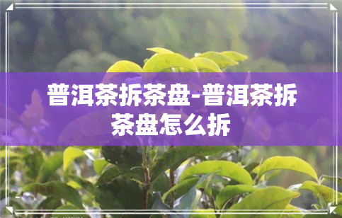 普洱茶拆茶盘-普洱茶拆茶盘怎么拆