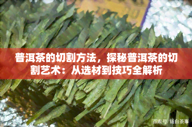 普洱茶的切割方法，探秘普洱茶的切割艺术：从选材到技巧全解析