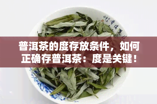 普洱茶的度存放条件，如何正确存普洱茶：度是关键！