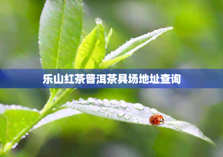 乐山红茶普洱茶具场地址查询