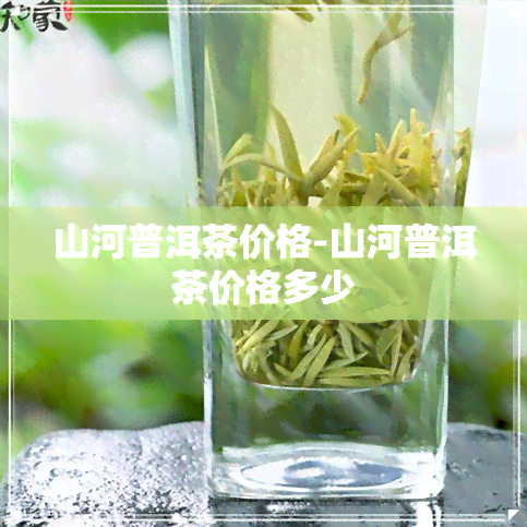 山河普洱茶价格-山河普洱茶价格多少