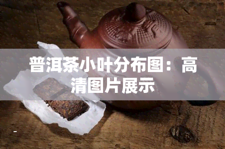 普洱茶小叶分布图：高清图片展示