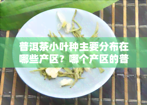 普洱茶小叶种主要分布在哪些产区？哪个产区的普洱茶小叶种？