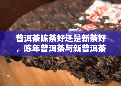 普洱茶陈茶好还是新茶好，陈年普洱茶与新普洱茶：哪种更好？