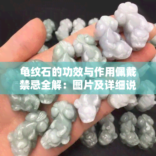 龟纹石的功效与作用佩戴禁忌全解：图片及详细说明