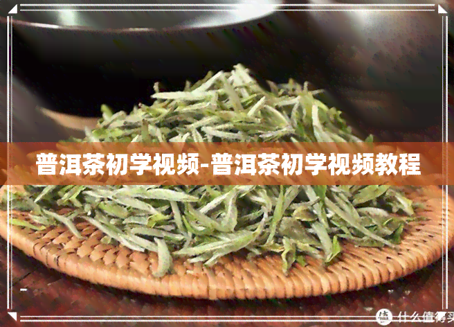 普洱茶初学视频-普洱茶初学视频教程