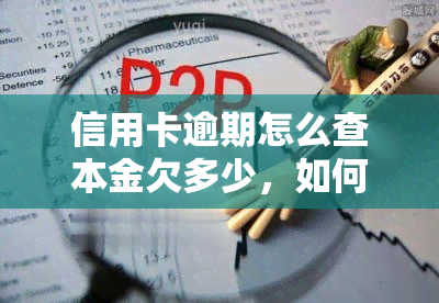 信用卡逾期怎么查本金欠多少，如何查询信用卡逾期后的本金欠款金额？