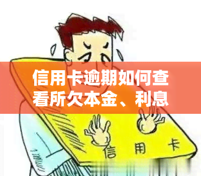 信用卡逾期如何查看所欠本金、利息及还款方式?