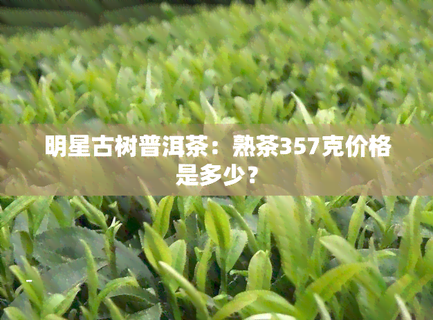 明星古树普洱茶：熟茶357克价格是多少？