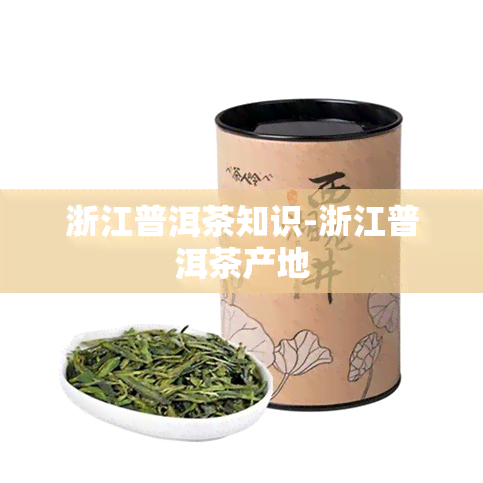 浙江普洱茶知识-浙江普洱茶产地