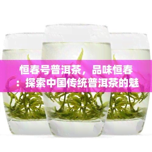 恒春号普洱茶，品味恒春：探索中国传统普洱茶的魅力