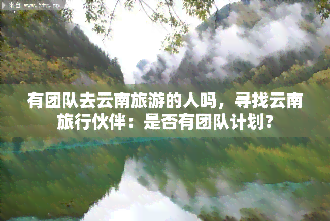 有团队去云南旅游的人吗，寻找云南旅行伙伴：是否有团队计划？