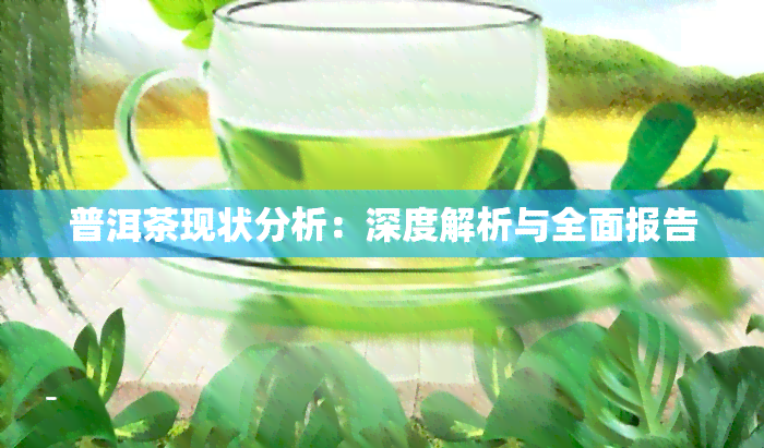 普洱茶现状分析：深度解析与全面报告