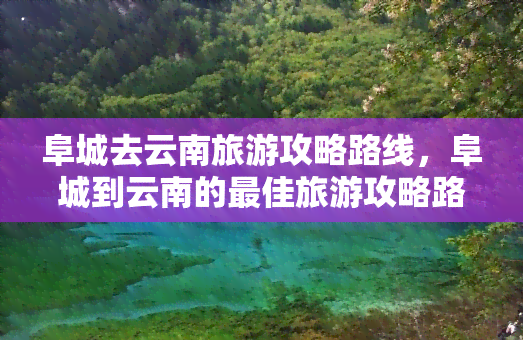 阜城去云南旅游攻略路线，阜城到云南的更佳旅游攻略路线