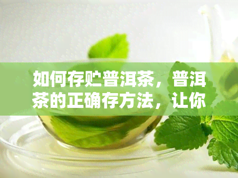 如何存贮普洱茶，普洱茶的正确存方法，让你品味更好的茶香