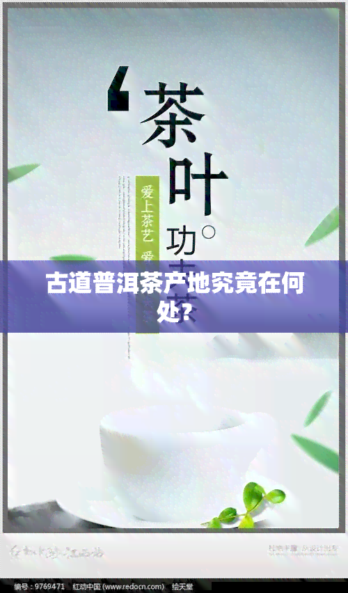 古道普洱茶产地究竟在何处？