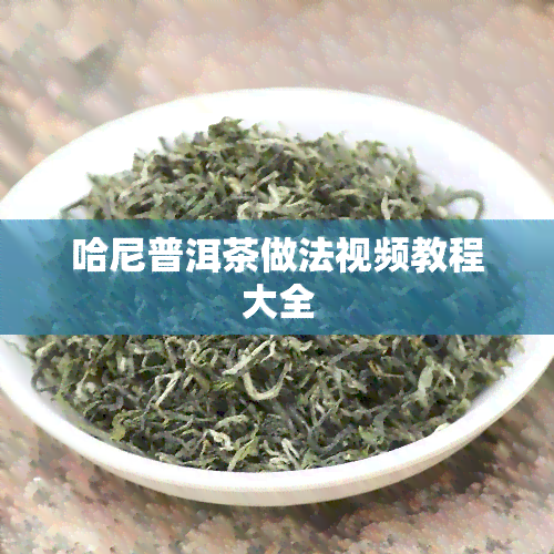 哈尼普洱茶做法视频教程大全