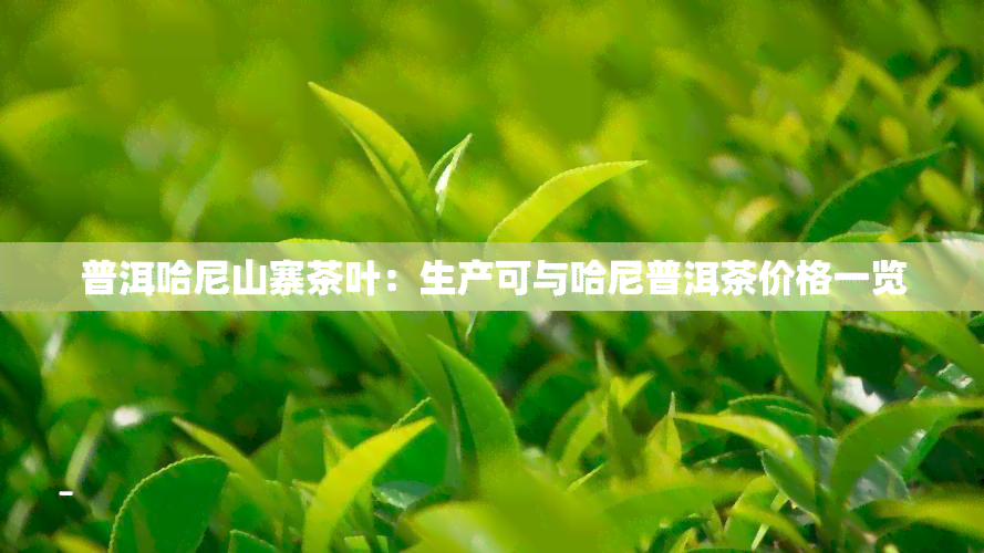 普洱哈尼山寨茶叶：生产可与哈尼普洱茶价格一览