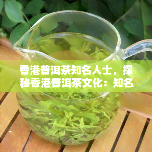 普洱茶知名人士，探秘普洱茶文化：知名人士的故事与影响