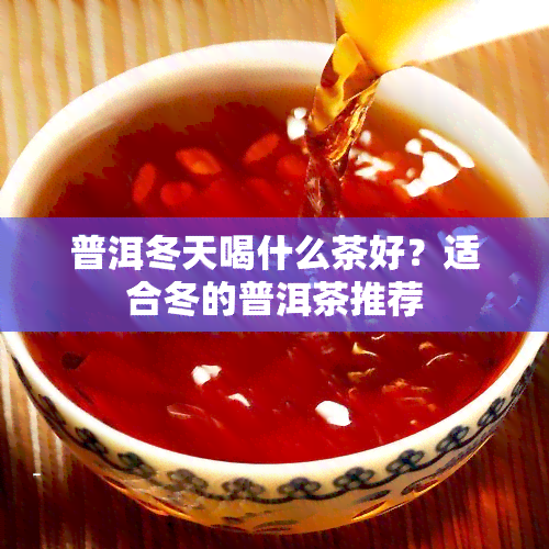 普洱冬天喝什么茶好？适合冬的普洱茶推荐