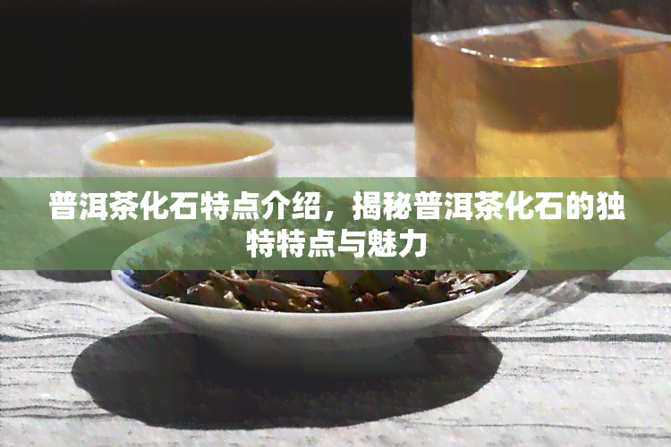 普洱茶化石特点介绍，揭秘普洱茶化石的独特特点与魅力