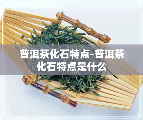 普洱茶化石特点-普洱茶化石特点是什么