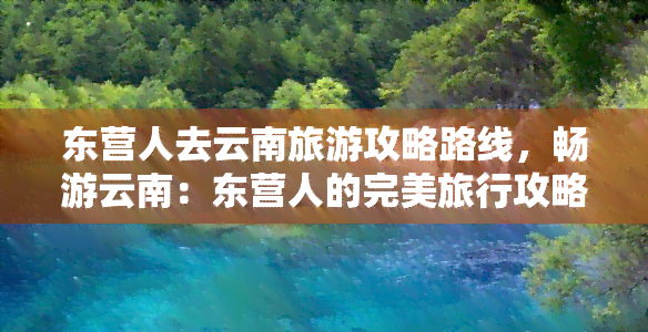 东营人去云南旅游攻略路线，畅游云南：东营人的完美旅行攻略与路线规划