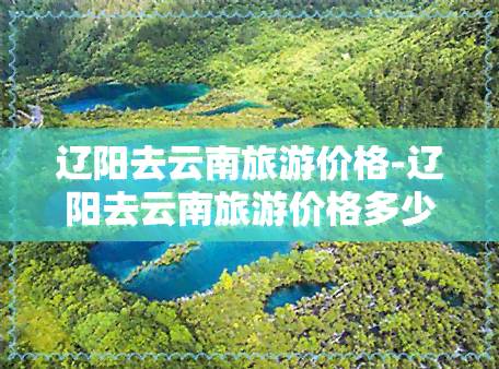 辽阳去云南旅游价格-辽阳去云南旅游价格多少