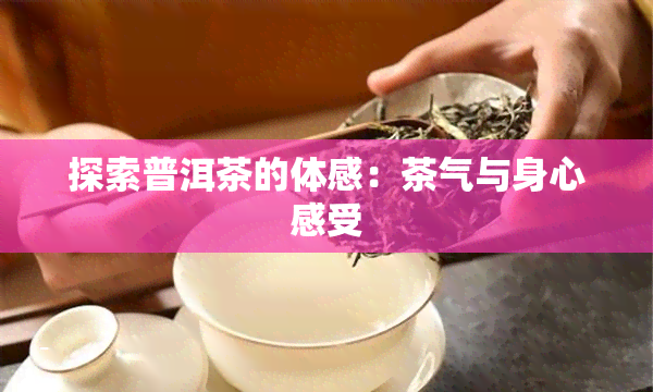 探索普洱茶的体感：茶气与身心感受